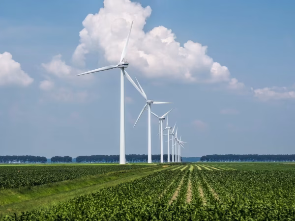 La agroindustria guatemalteca enfrenta retos de sostenibilidad: residuos, agua, energías renovables, normativas ambientales y trazabilidad.